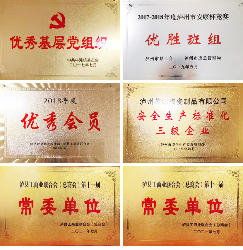 資質(zhì)榮譽(yù) 資質(zhì)榮譽(yù)