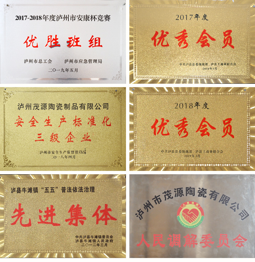 資質(zhì)榮譽(yù) 資質(zhì)榮譽(yù)