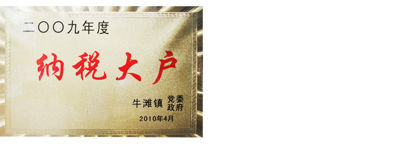 資質(zhì)榮譽(yù) 資質(zhì)榮譽(yù)